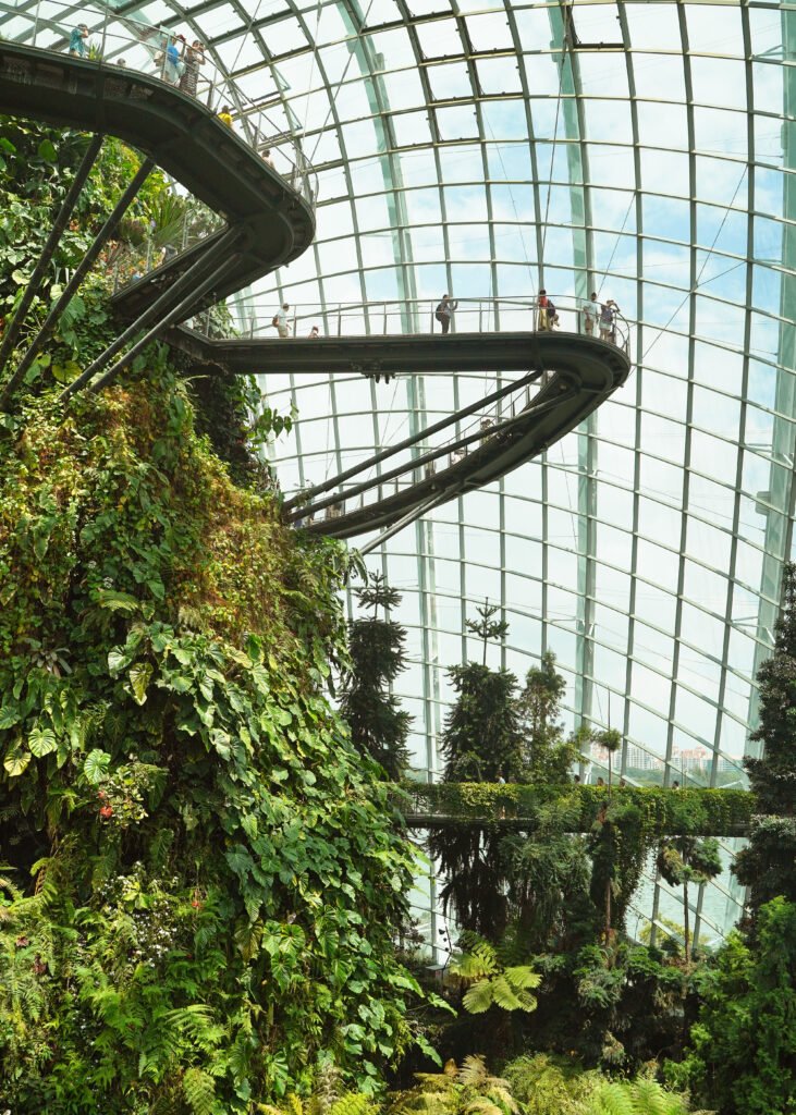 Walkway with people jutting out from a structure covered in plants