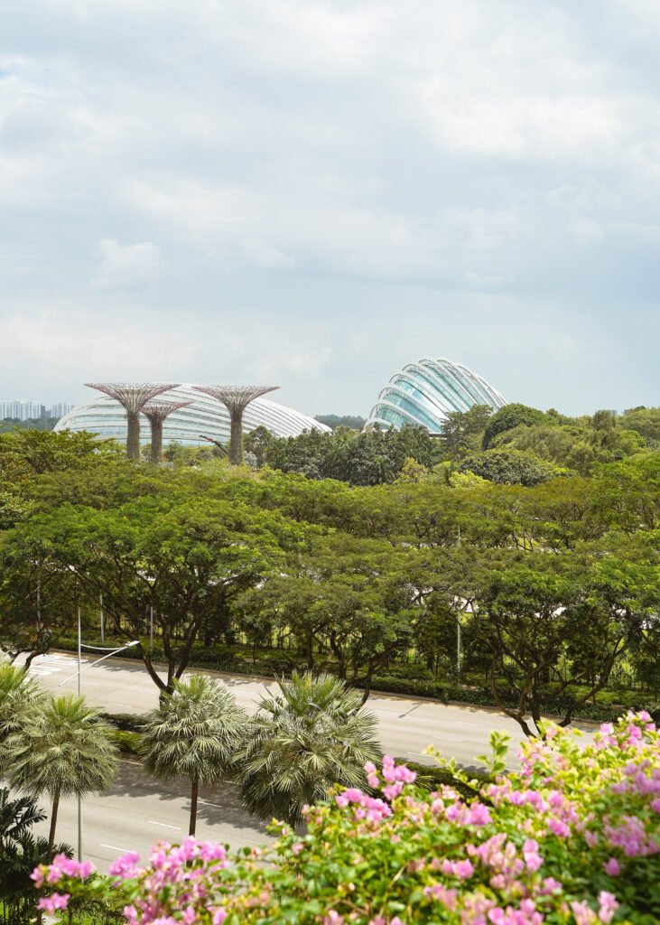 gardens by the bay in the distance